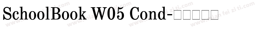SchoolBook W05 Cond字体转换